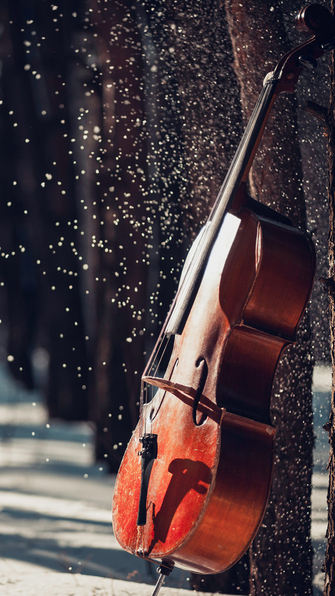 India-cello screenshot