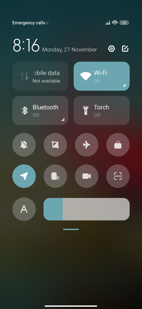 Bird screenshot