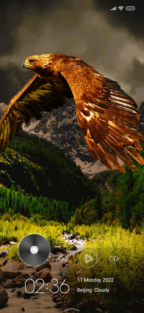 Wildlife two screenshot