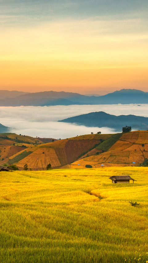 Sunrise at Chiang Mai Rice Terraces screenshot