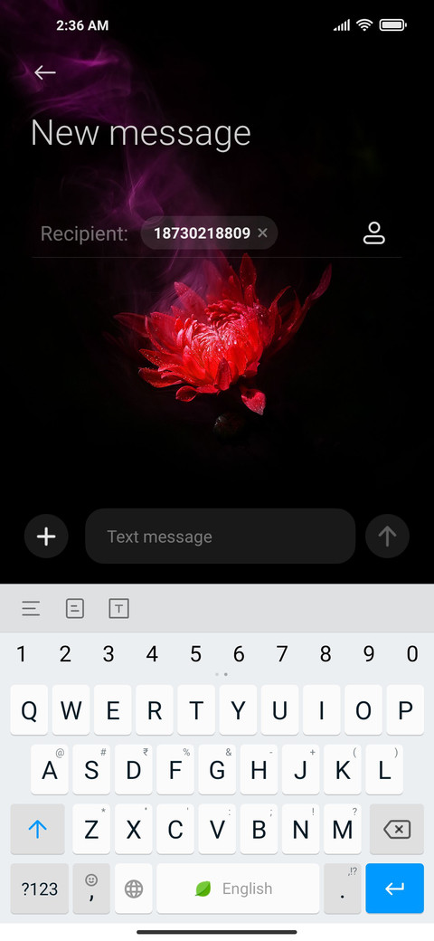 Flagship beauty screenshot