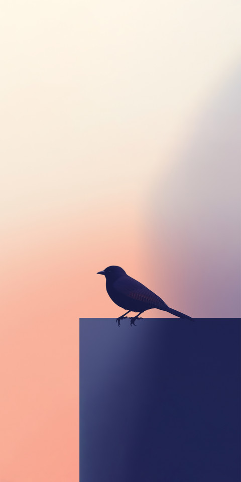 Silhouette1.jpg screenshot
