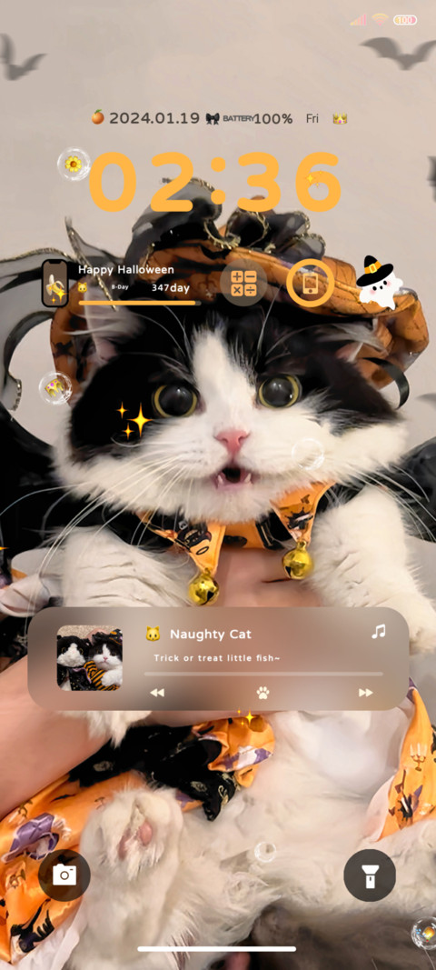 Cute Halloween cat screenshot