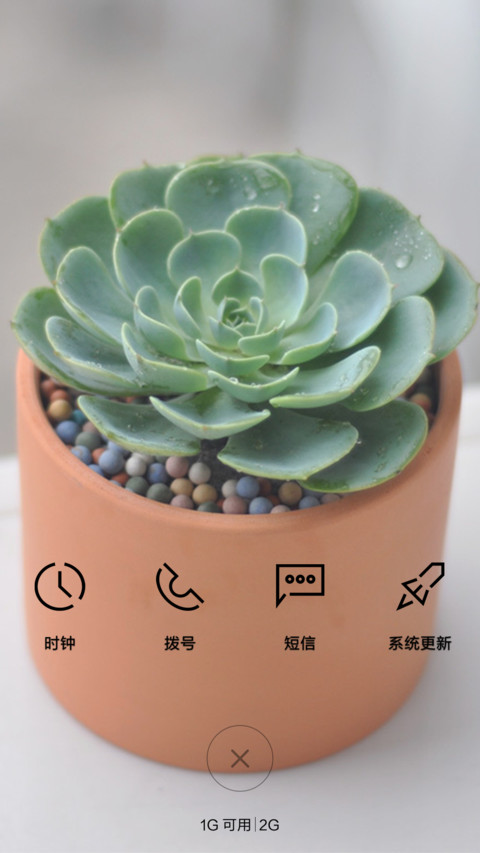 情不自禁爱上多肉植物。 screenshot