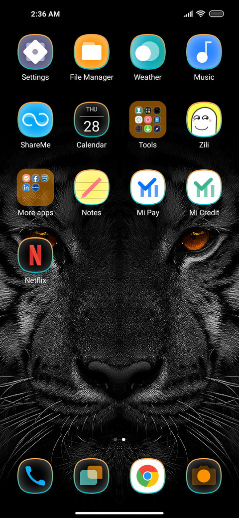 Black Tiger screenshot