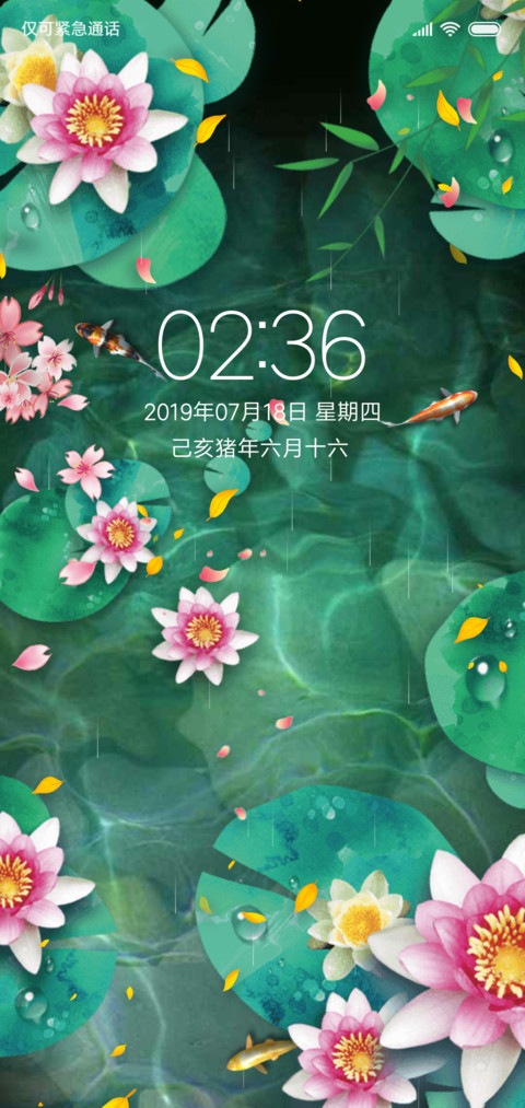 夏日锦鲤 screenshot