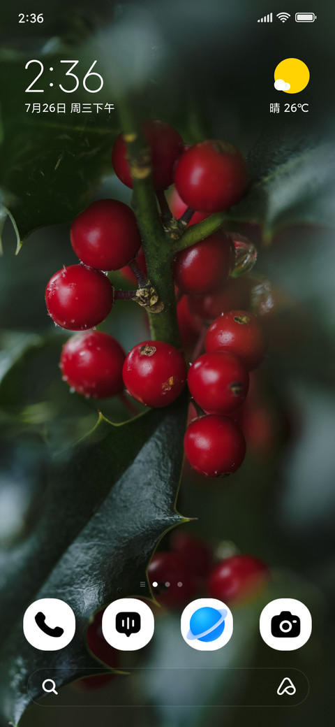 Winter Berries screenshot