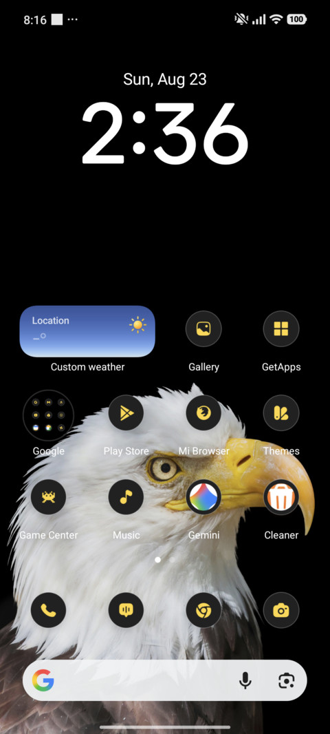 Eagle Watch screenshot