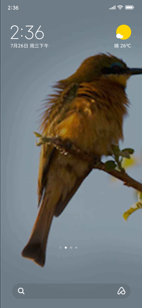 bee-eater screenshot