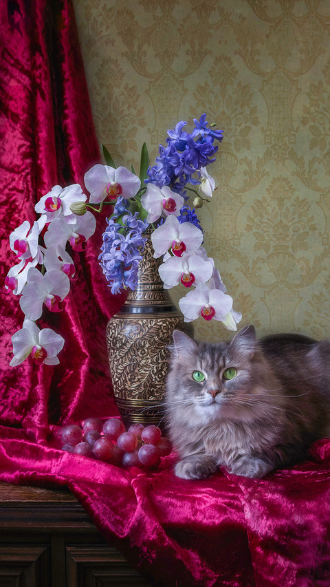 Still life with splendid bouquet and adorable gray kitty screenshot