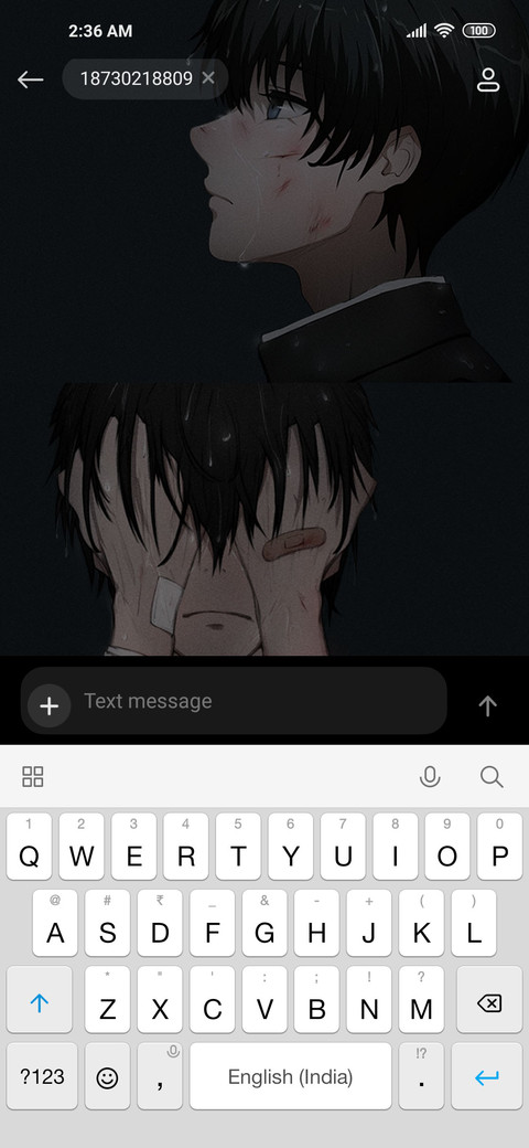 Hide the sad screenshot