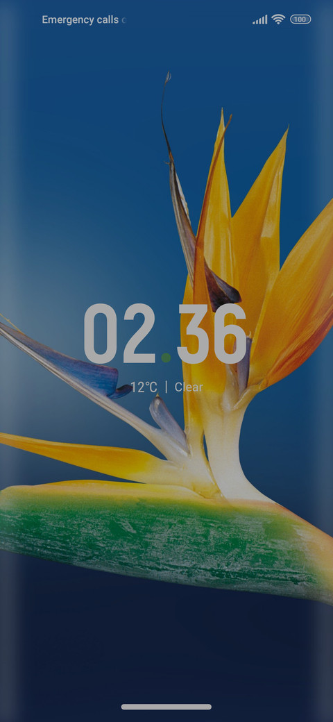 Flower_awesom screenshot