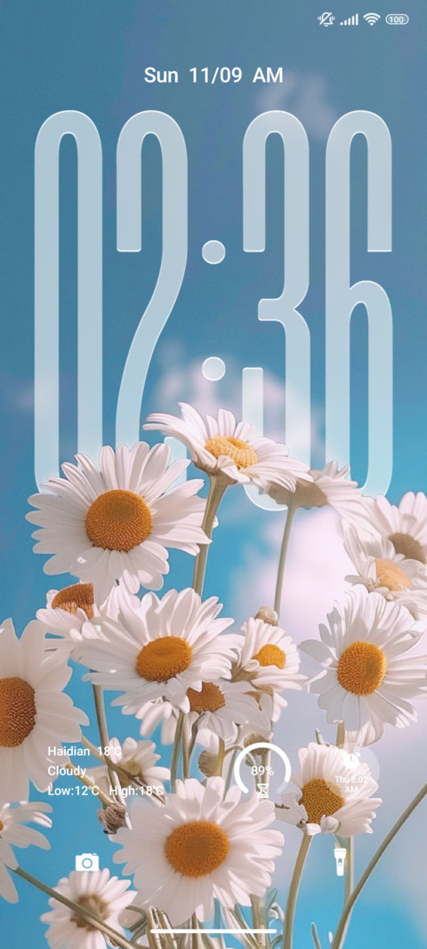 Flower screenshot