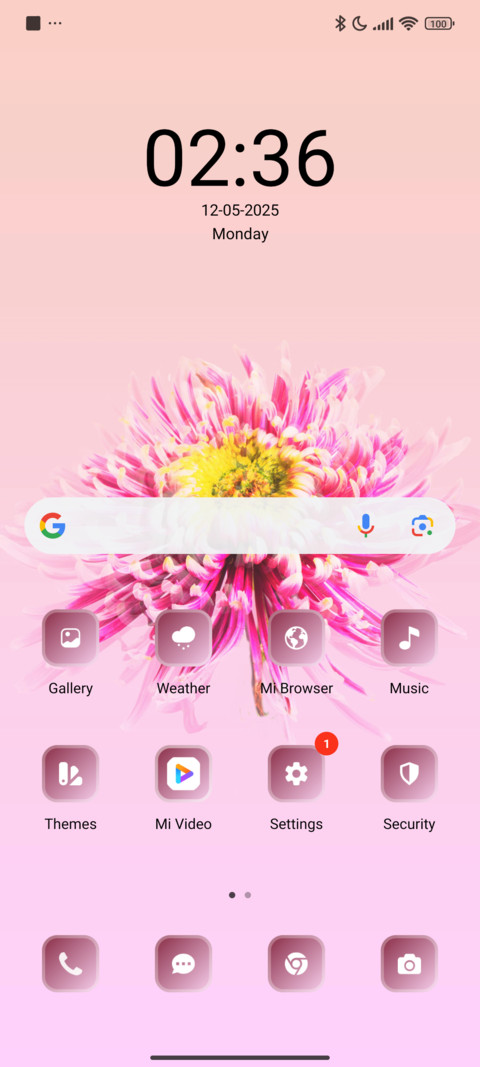 Daisy Petal screenshot