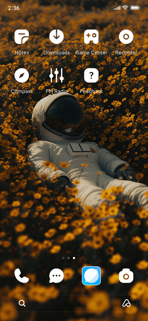 Space fantasy screenshot