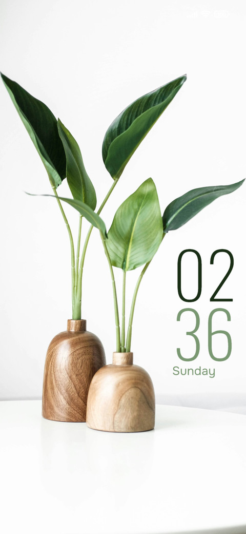 Wooden Vase screenshot
