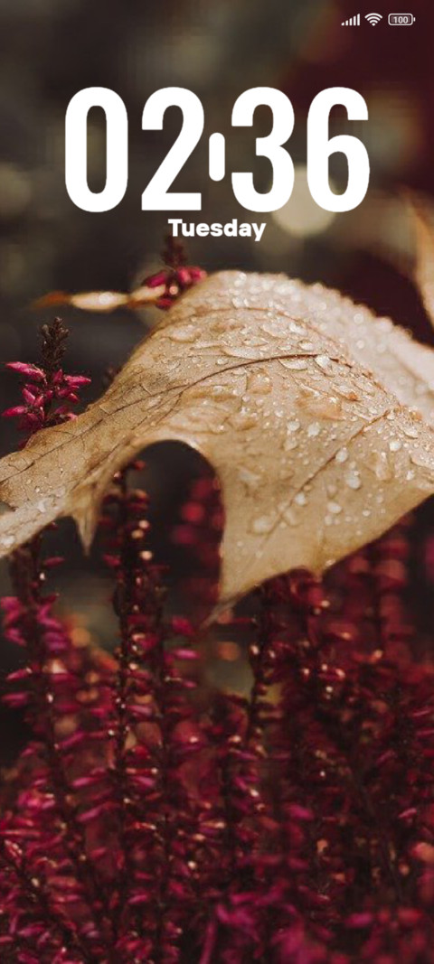 Monsoon Magic screenshot