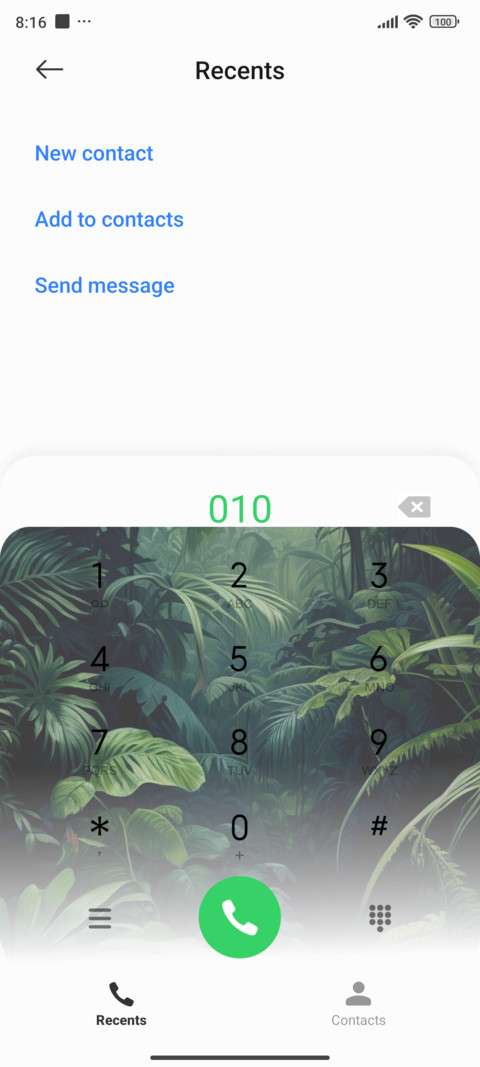 rainforest toucan screenshot