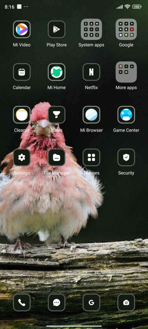 Bird screenshot