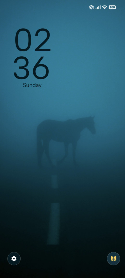 Foggy Horse screenshot