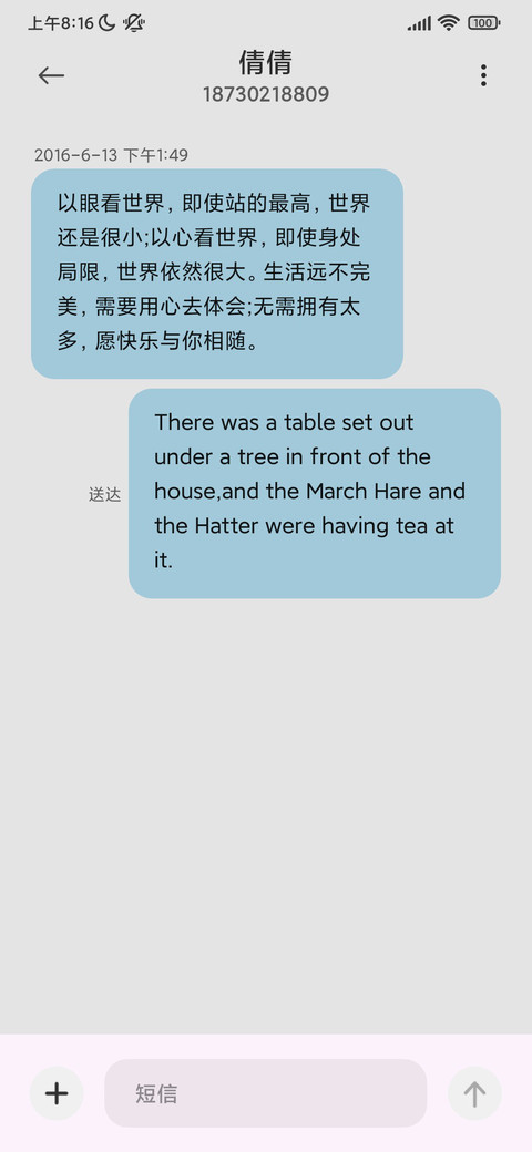 简约新拟态 screenshot