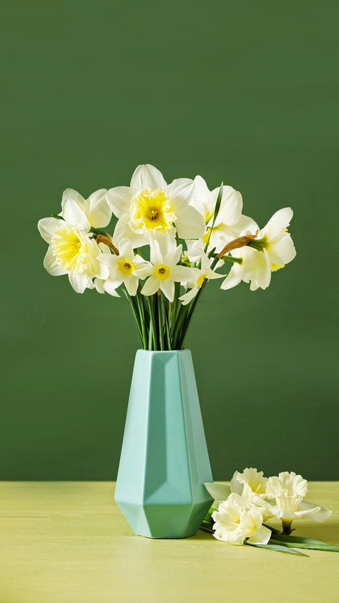 Vase with beautiful daffodils on color wooden background screenshot