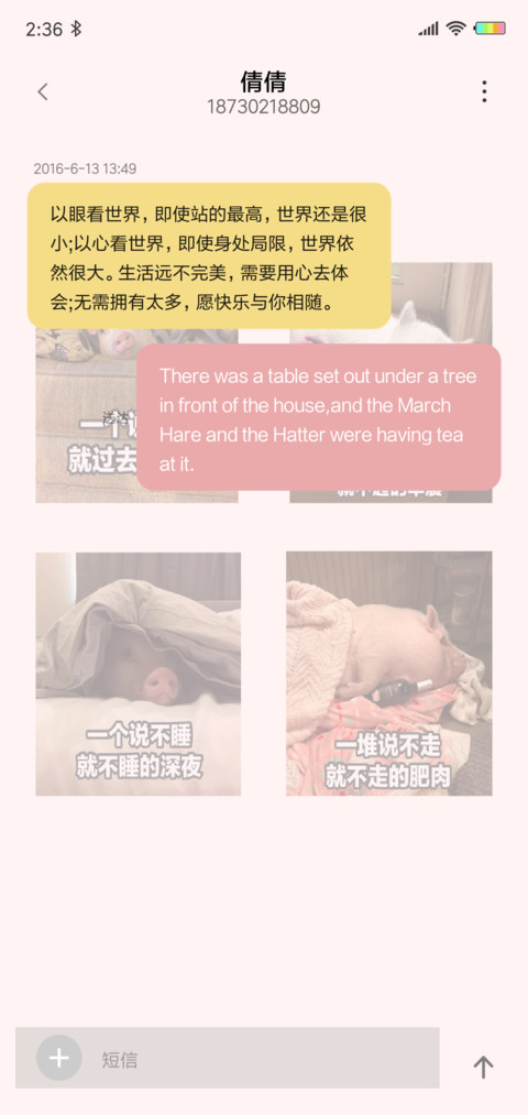 小猪的猪生G screenshot