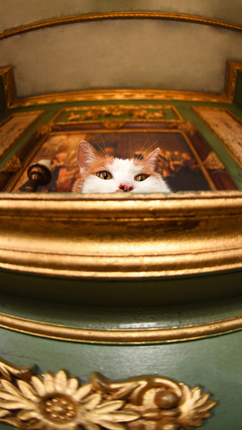 Why artists like keeping cats 27 screenshot