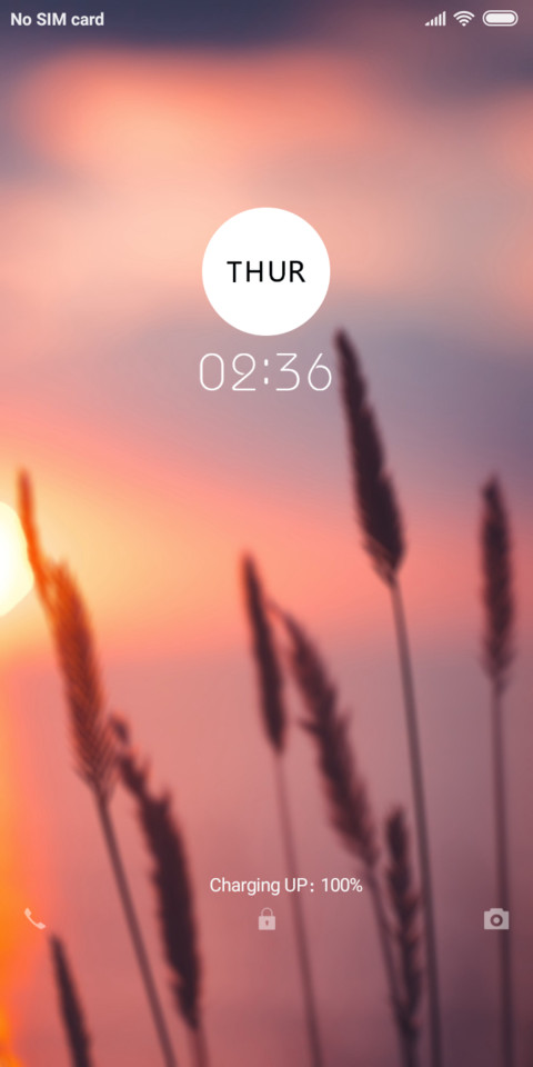 Vivo Night screenshot