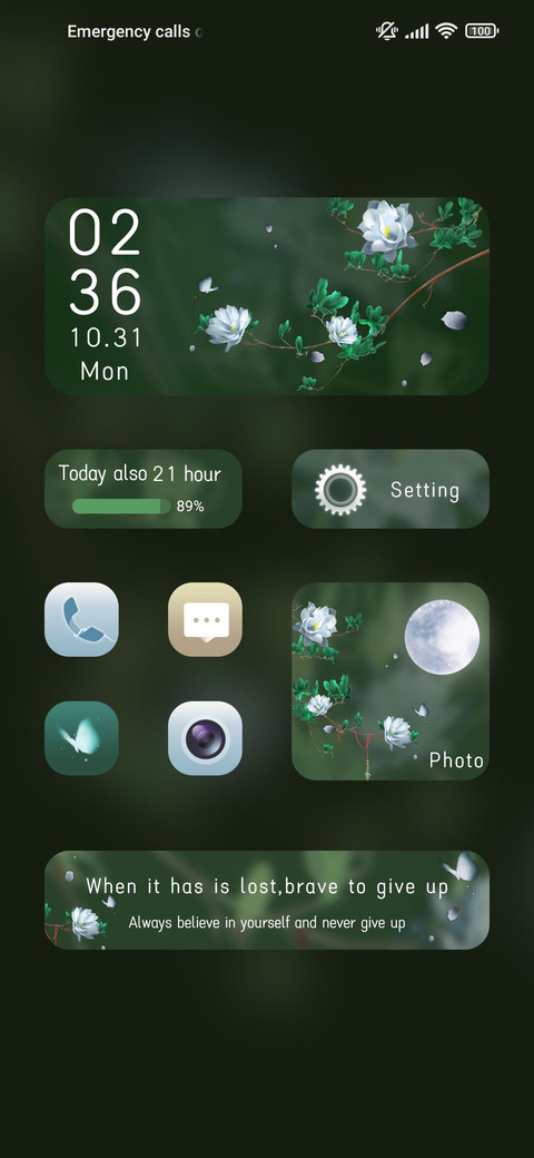 Beautiful flowers screenshot