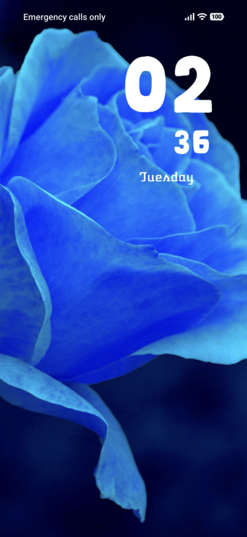 Rose screenshot