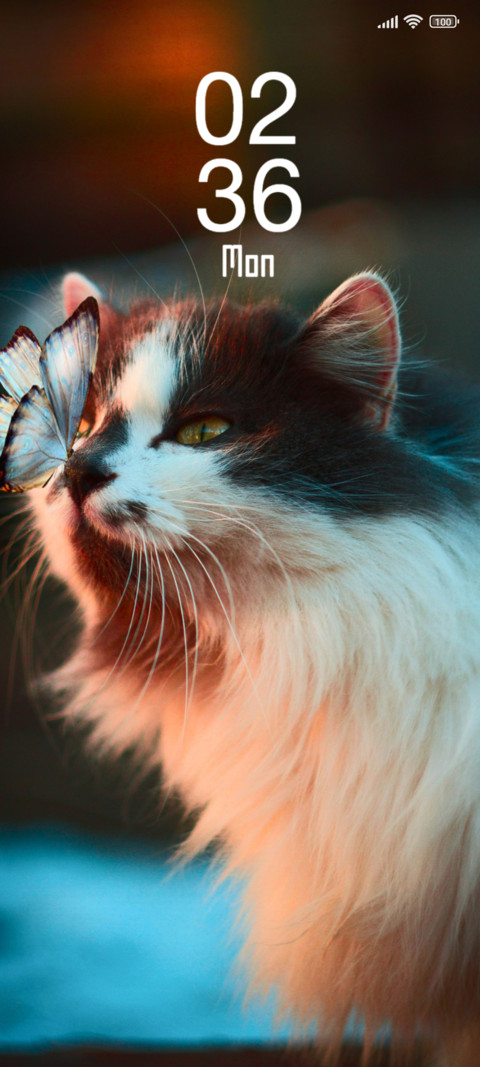 Kitty Moment screenshot