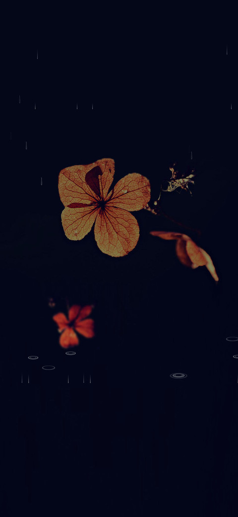 秋思 screenshot