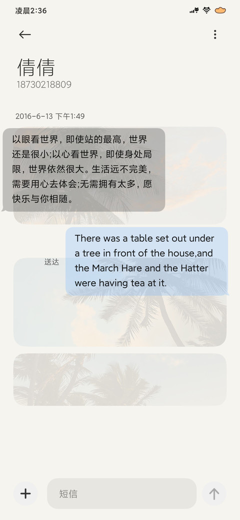 INS风景 椰林落日 screenshot
