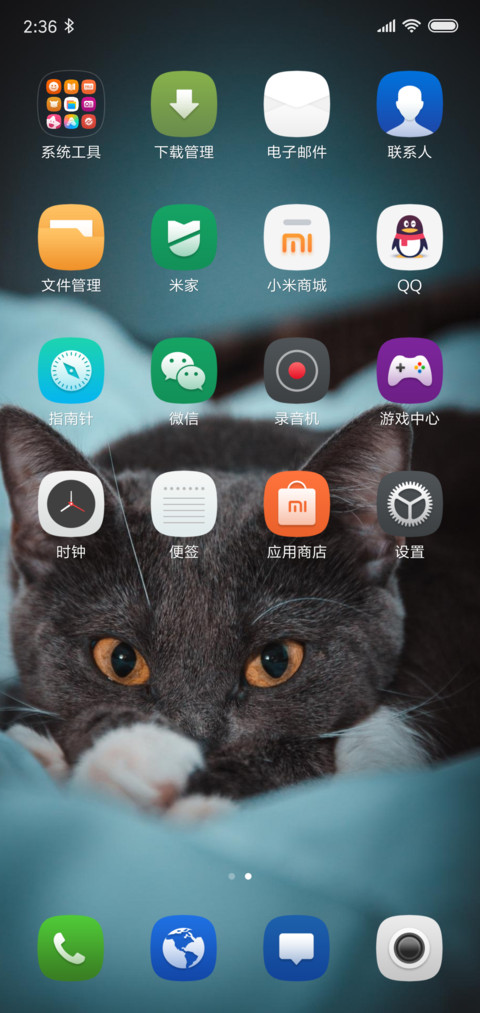 一只猫 screenshot