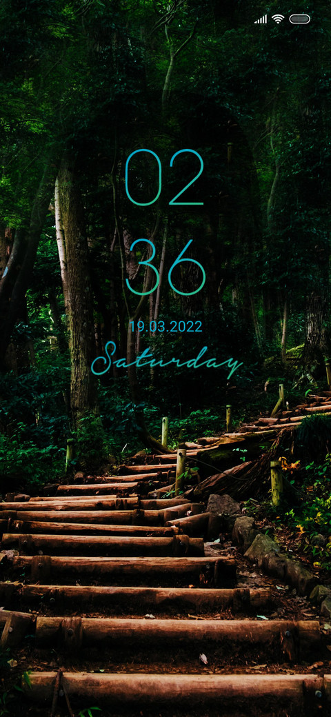 Bridge forest fi screenshot