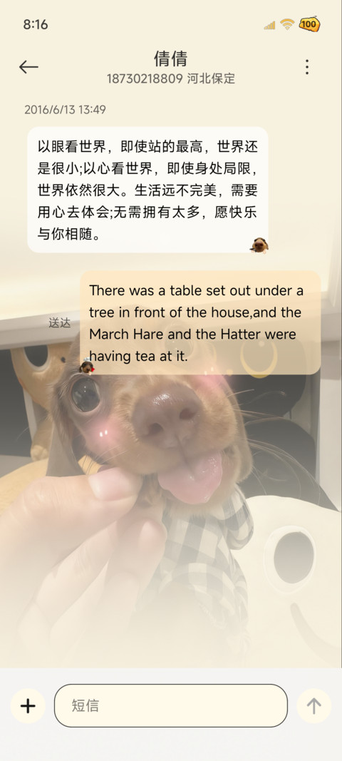 我有芝士 腊肠小狗 screenshot