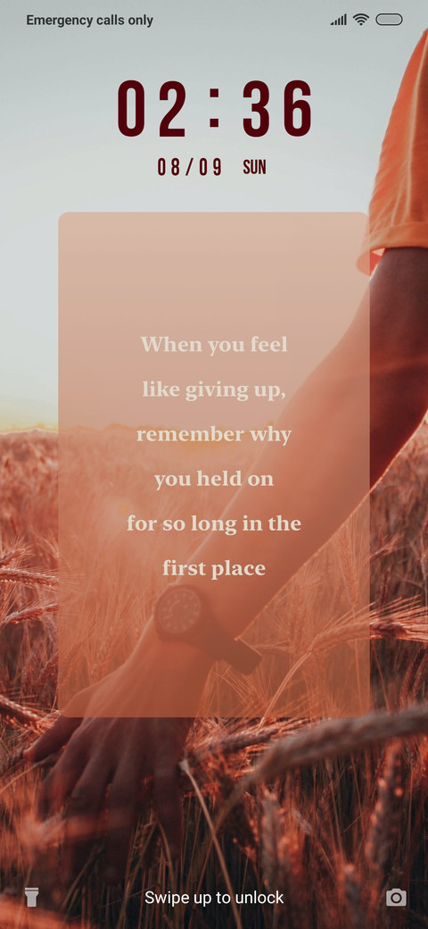 Quote - Fields_3MDS screenshot