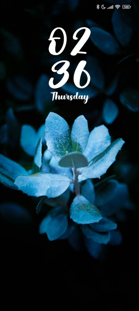 Petal Flower screenshot