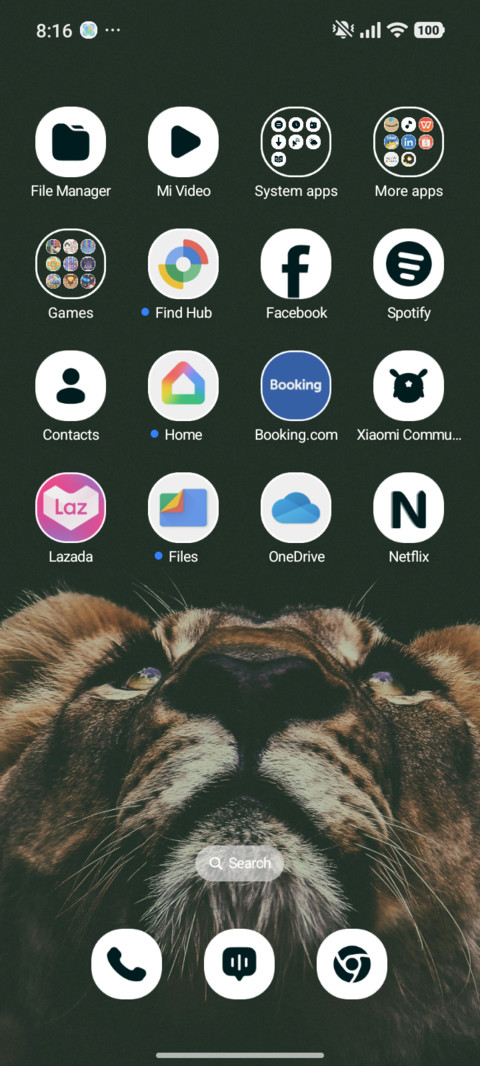 Lion Gaze screenshot