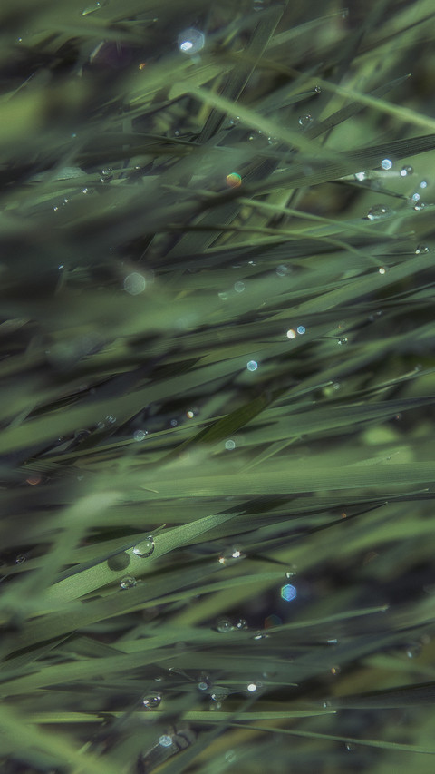 雨露清明 (5) screenshot