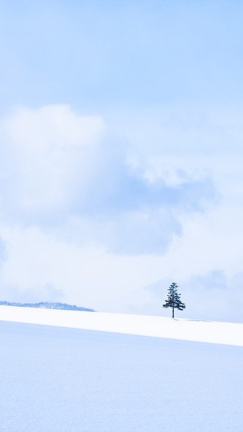 踏雪寻梅-拍信图库 screenshot