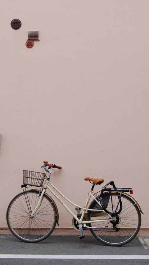 Bicycle (7) screenshot