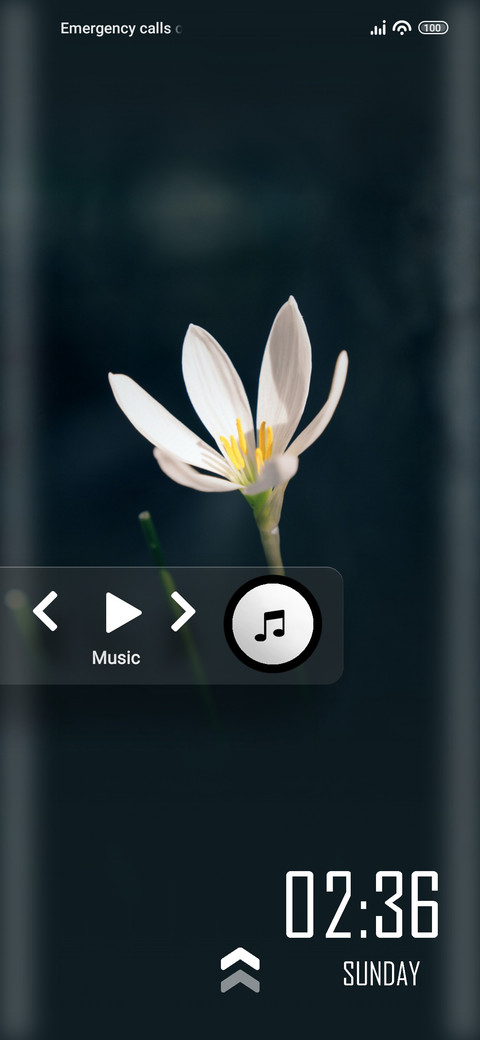 Delicate screenshot