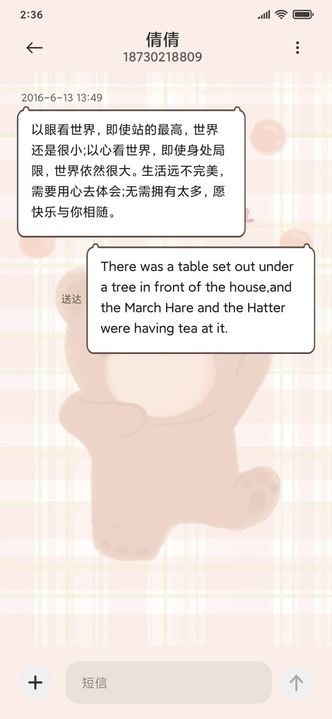 可爱奶盖格子熊 screenshot