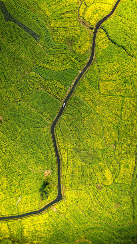 Chinas summer grain harvest 24 screenshot
