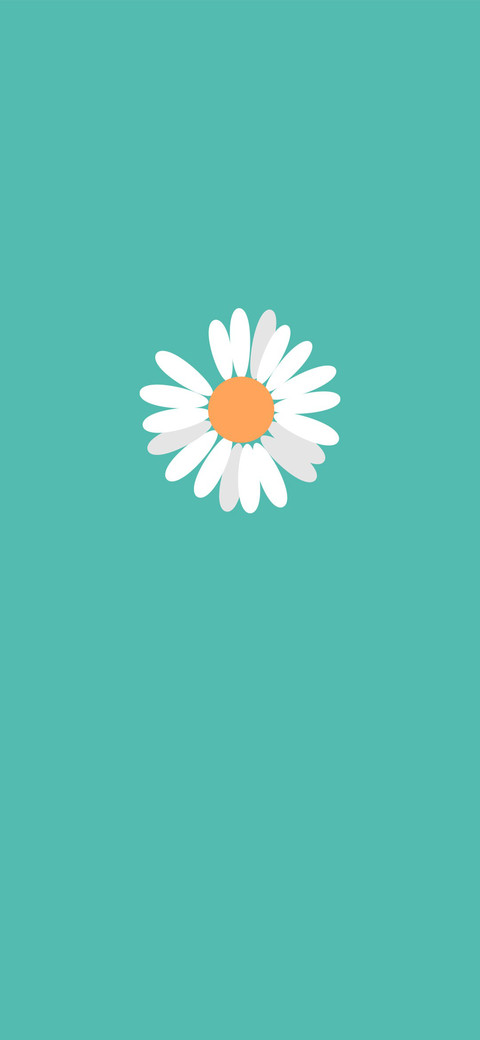 小雏菊 screenshot