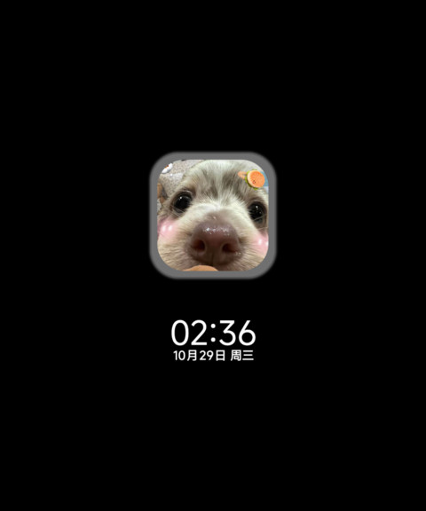 软萌狗狗 screenshot
