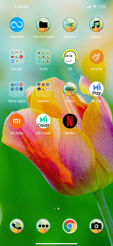 Tulip Beauty screenshot