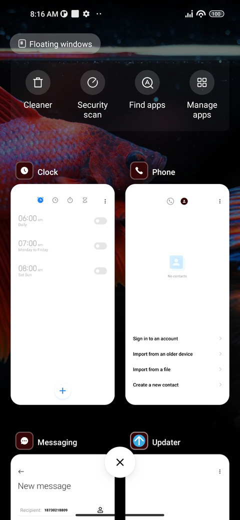 Fish screenshot